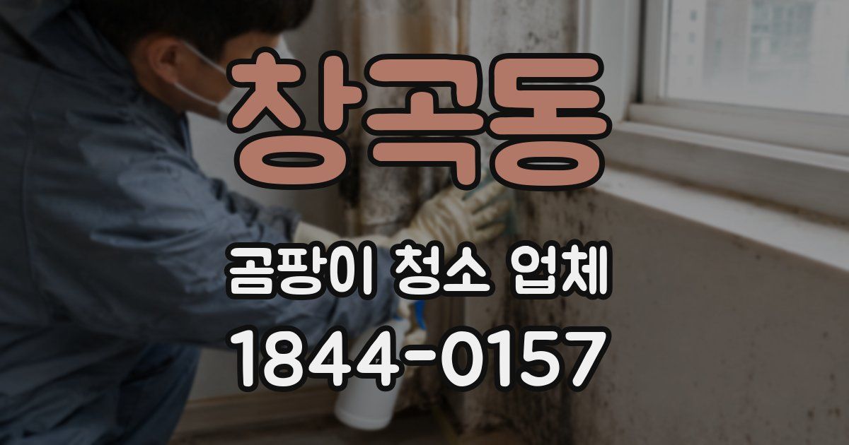 창곡동 곰팡이 청소 업체