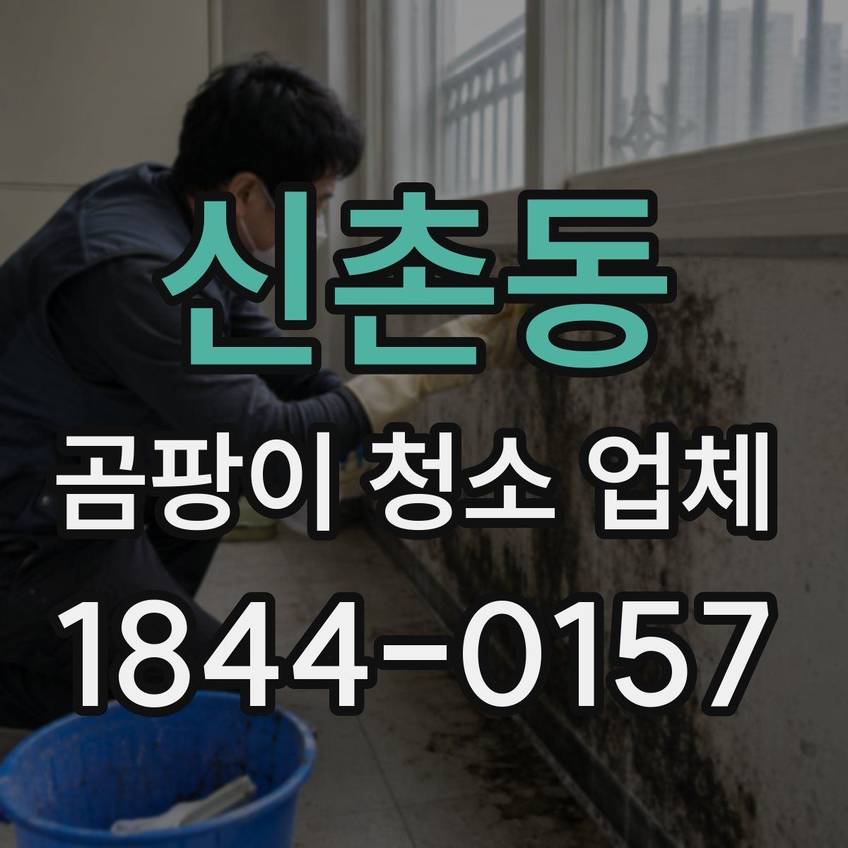 신촌동 곰팡이 청소 업체 오염이 깊은 현장에서 복원 가능성 보는 법
