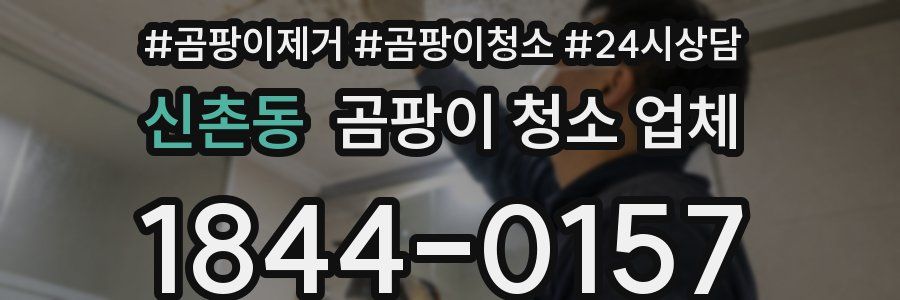 신촌동 곰팡이 청소 업체