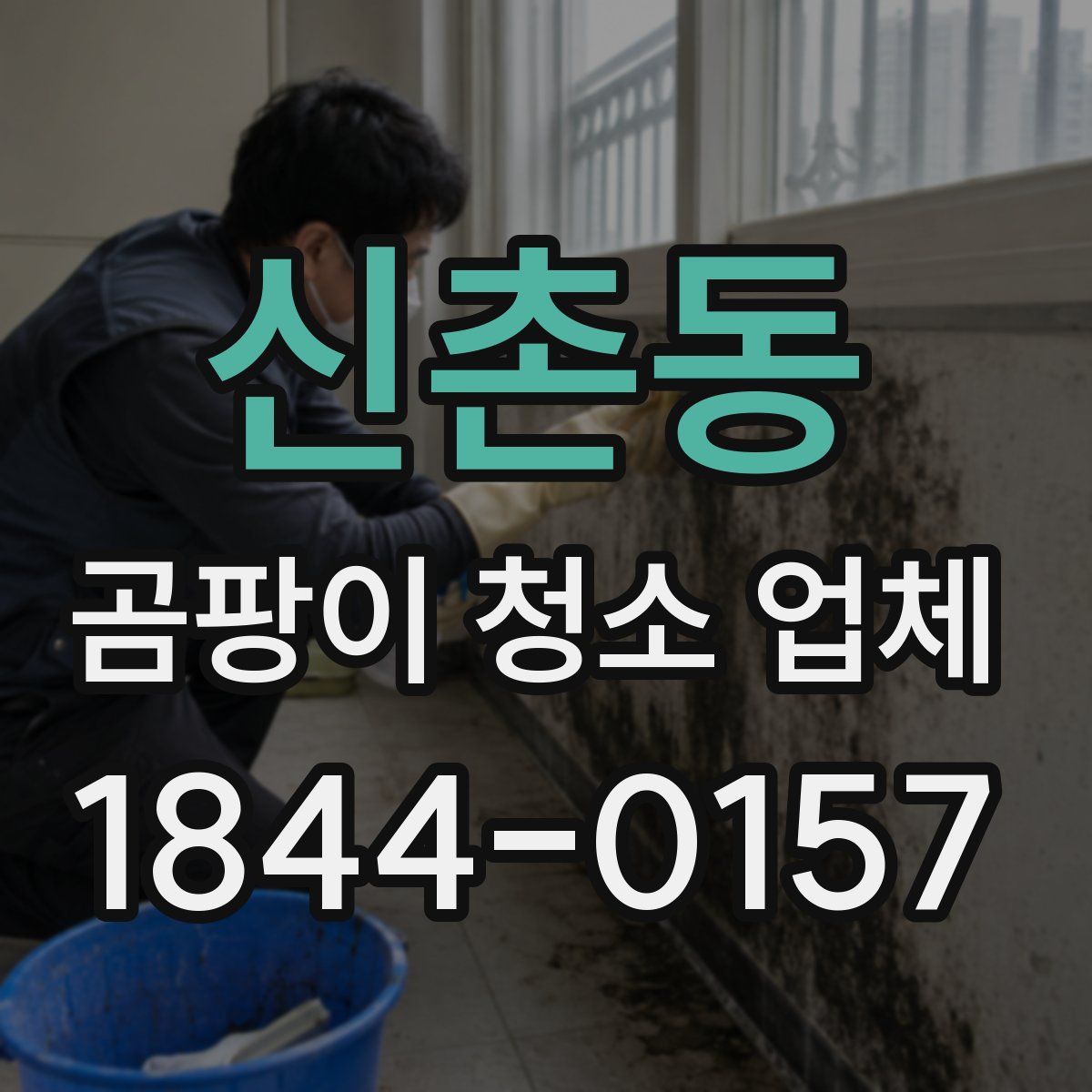 신촌동 곰팡이 청소 업체