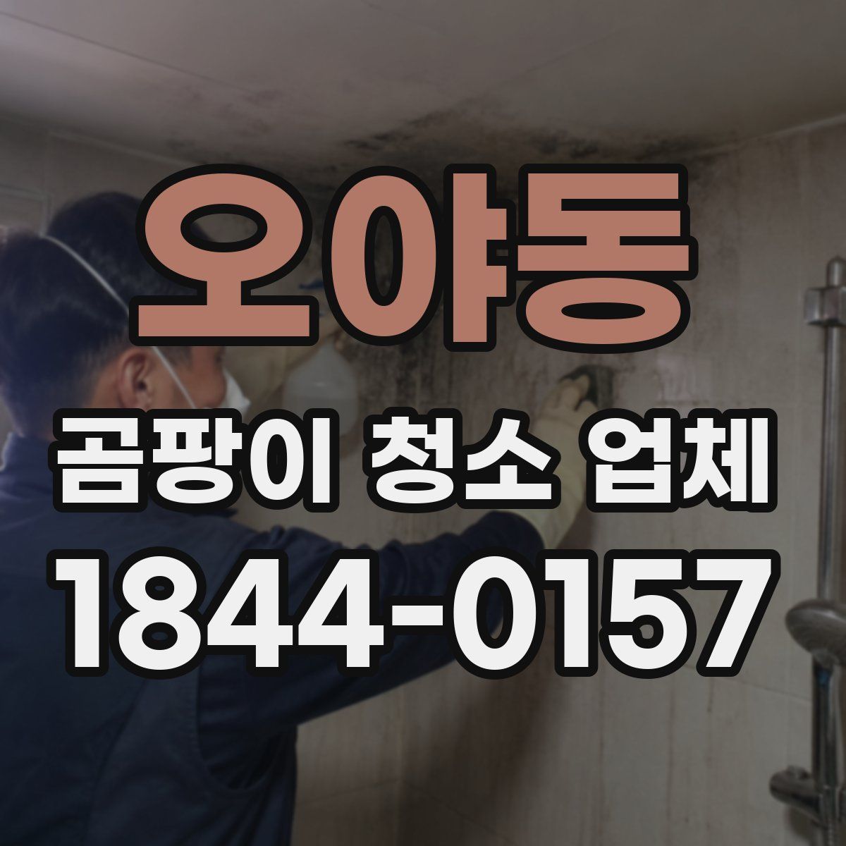 오야동 곰팡이 청소 업체