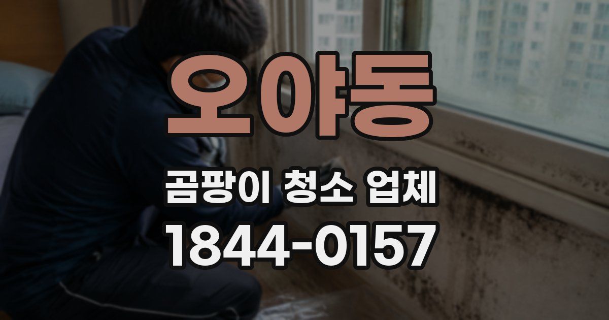 오야동 곰팡이 청소 업체