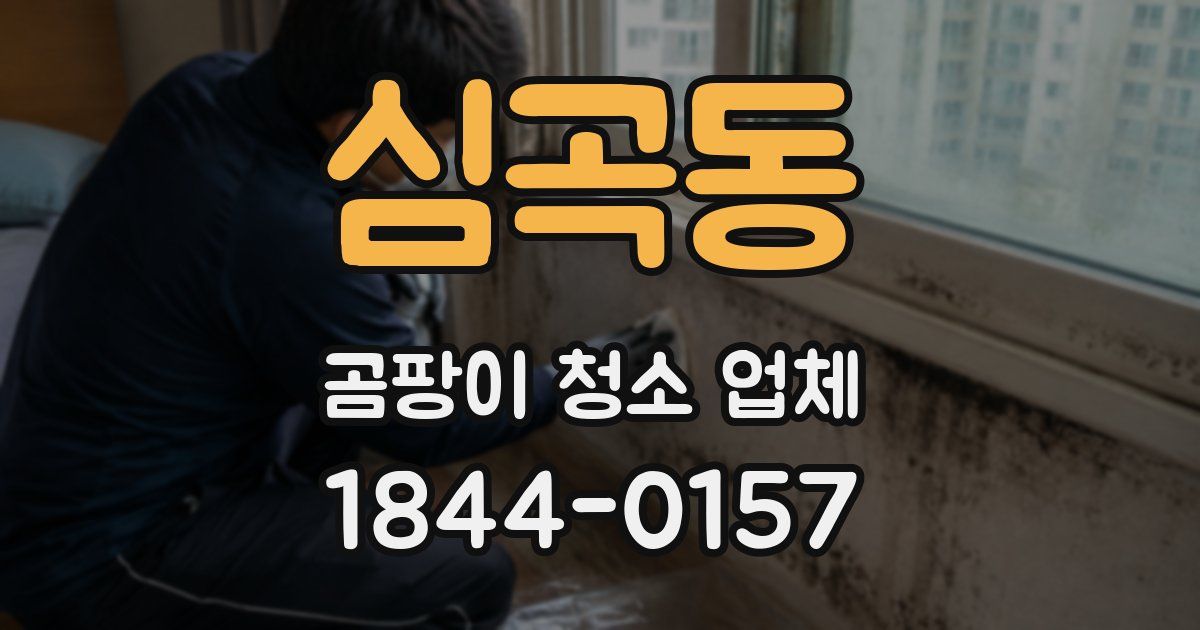 심곡동 곰팡이 청소 업체