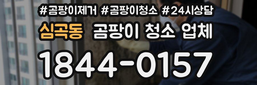 심곡동 곰팡이 청소 업체