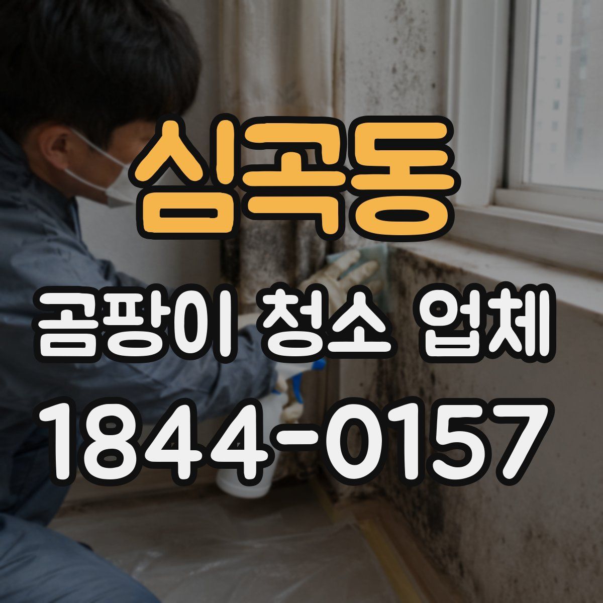 심곡동 곰팡이 청소 업체