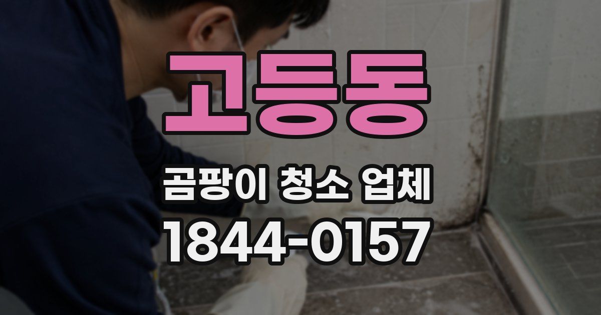 고등동 곰팡이 청소 업체