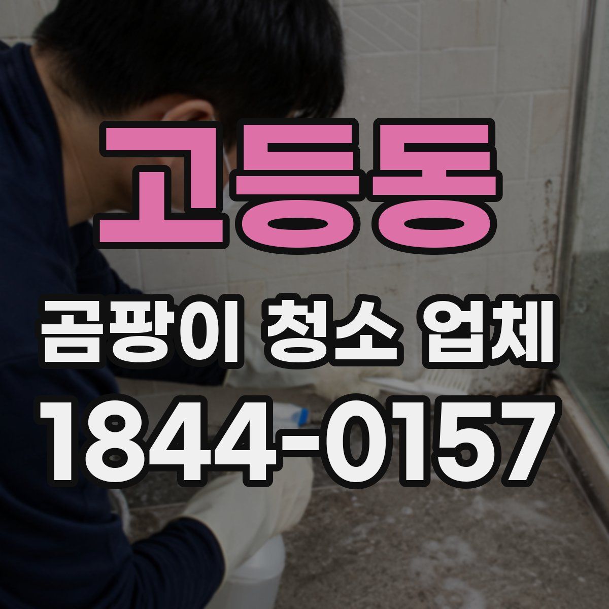 고등동 곰팡이 청소 업체