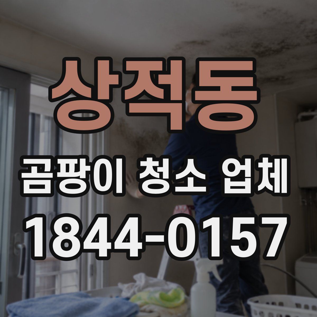 상적동 곰팡이 청소 업체