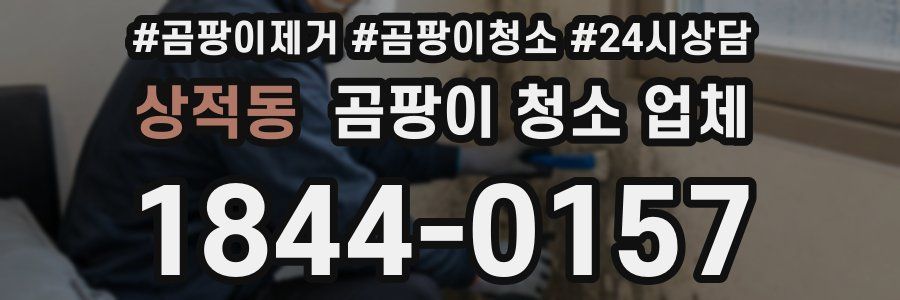 상적동 곰팡이 청소 업체