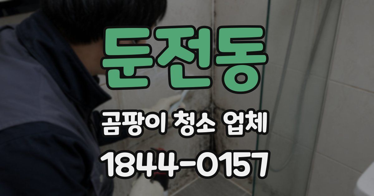 둔전동 곰팡이 청소 업체