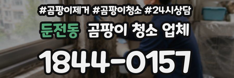 둔전동 곰팡이 청소 업체