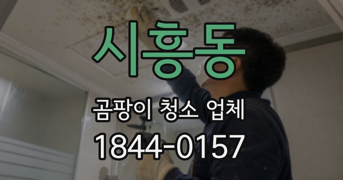 시흥동 곰팡이 청소 업체