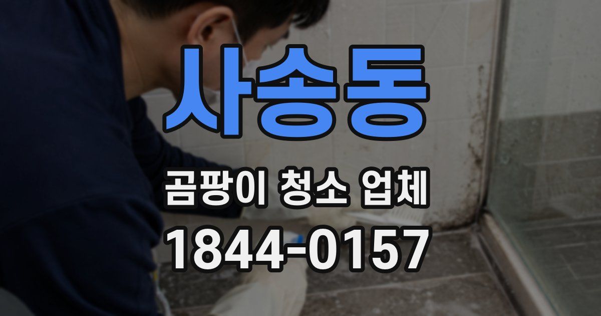 사송동 곰팡이 청소 업체