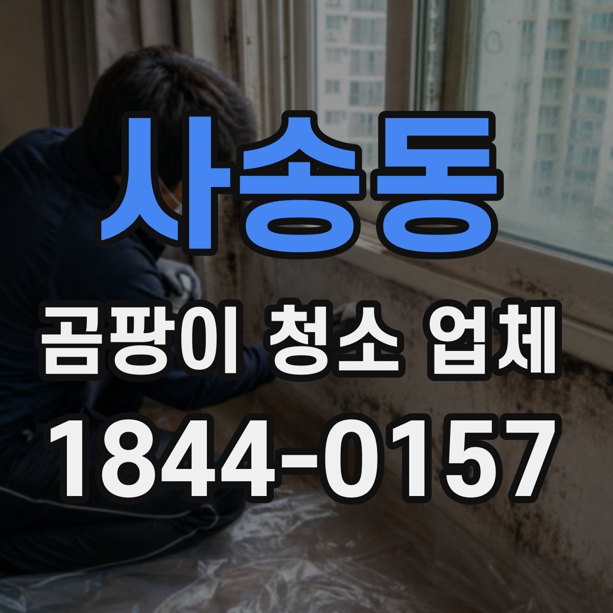 사송동 곰팡이 청소 업체