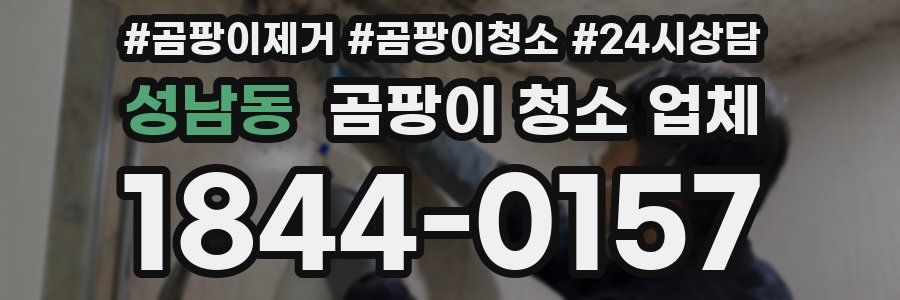 성남동 곰팡이 청소 업체