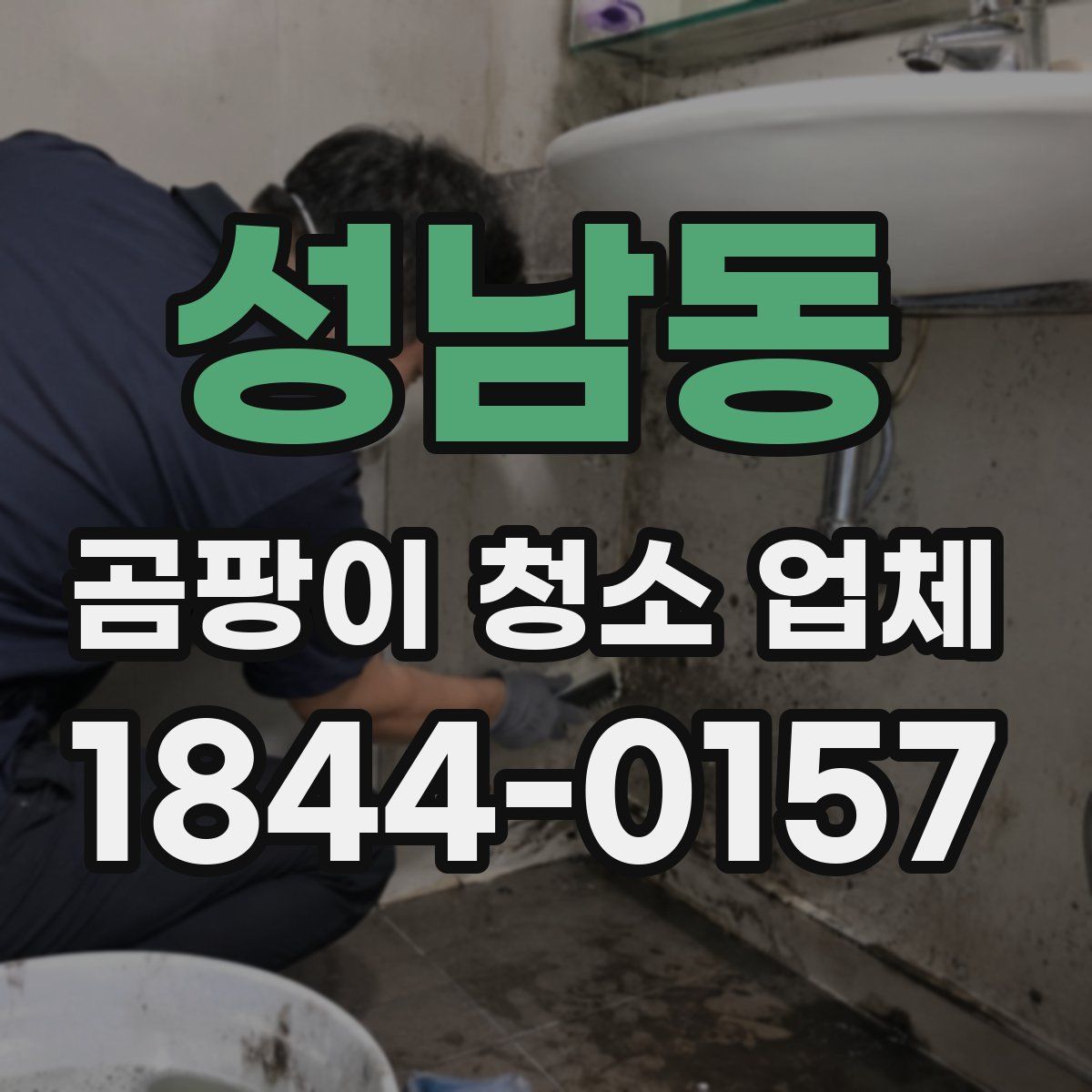 성남동 곰팡이 청소 업체