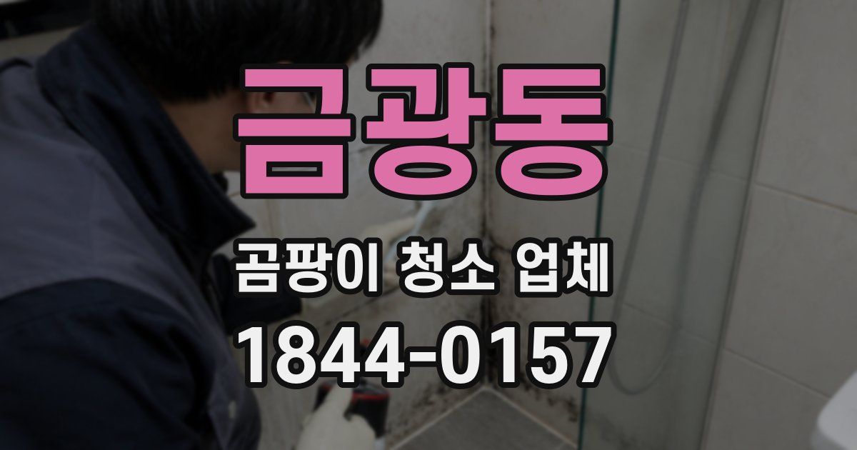금광동 곰팡이 청소 업체