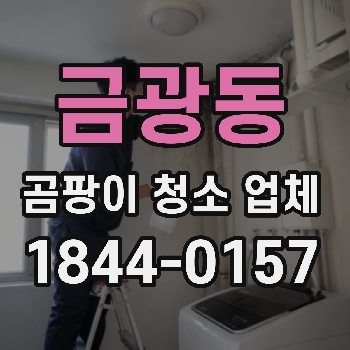 금광동 곰팡이 청소 업체