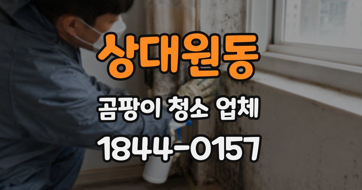 상대원동 곰팡이 청소 업체