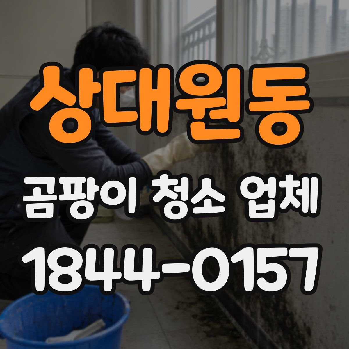 상대원동 곰팡이 청소 업체