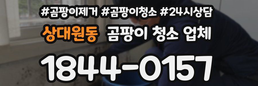 상대원동 곰팡이 청소 업체