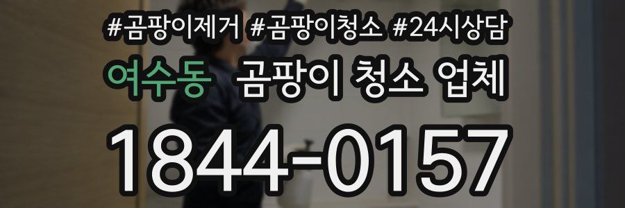 여수동 곰팡이 청소 업체