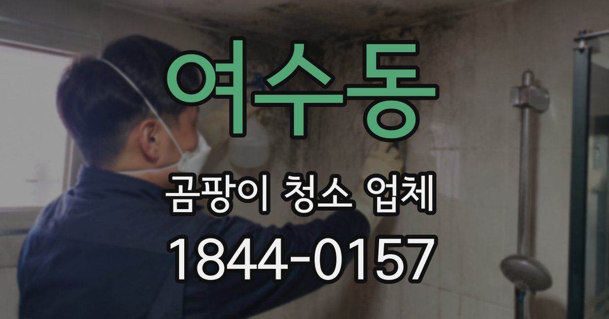 여수동 곰팡이 청소 업체