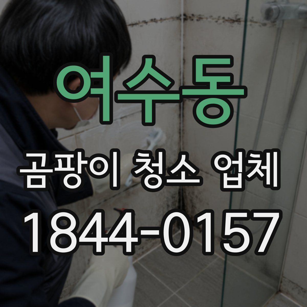 여수동 곰팡이 청소 업체