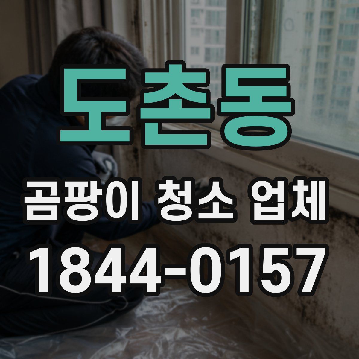 도촌동 곰팡이 청소 업체