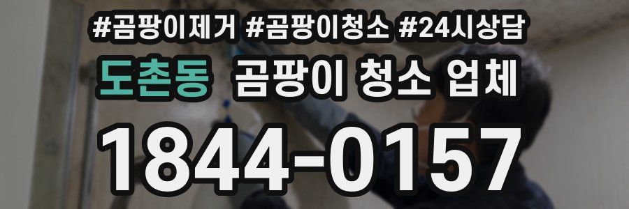 도촌동 곰팡이 청소 업체