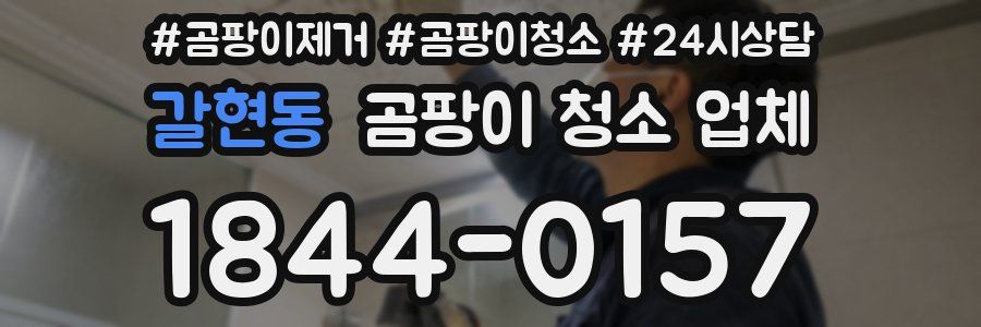 갈현동 곰팡이 청소 업체