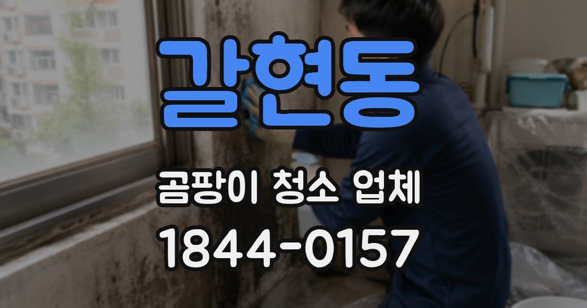 갈현동 곰팡이 청소 업체