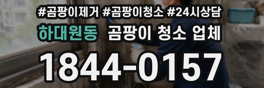 하대원동 곰팡이 청소 업체