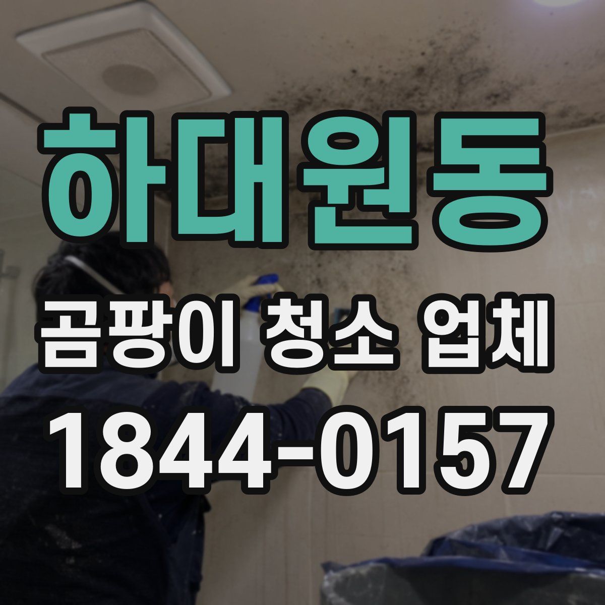 하대원동 곰팡이 청소 업체