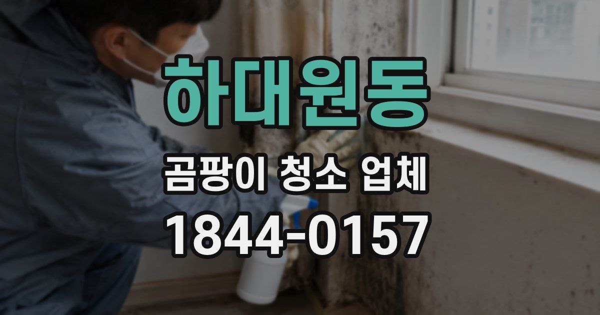 하대원동 곰팡이 청소 업체