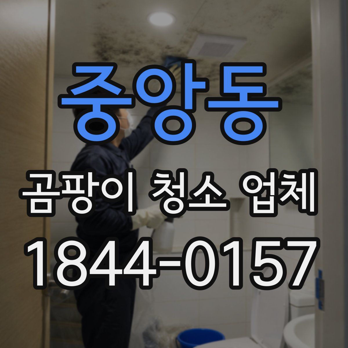 중앙동 곰팡이 청소 업체