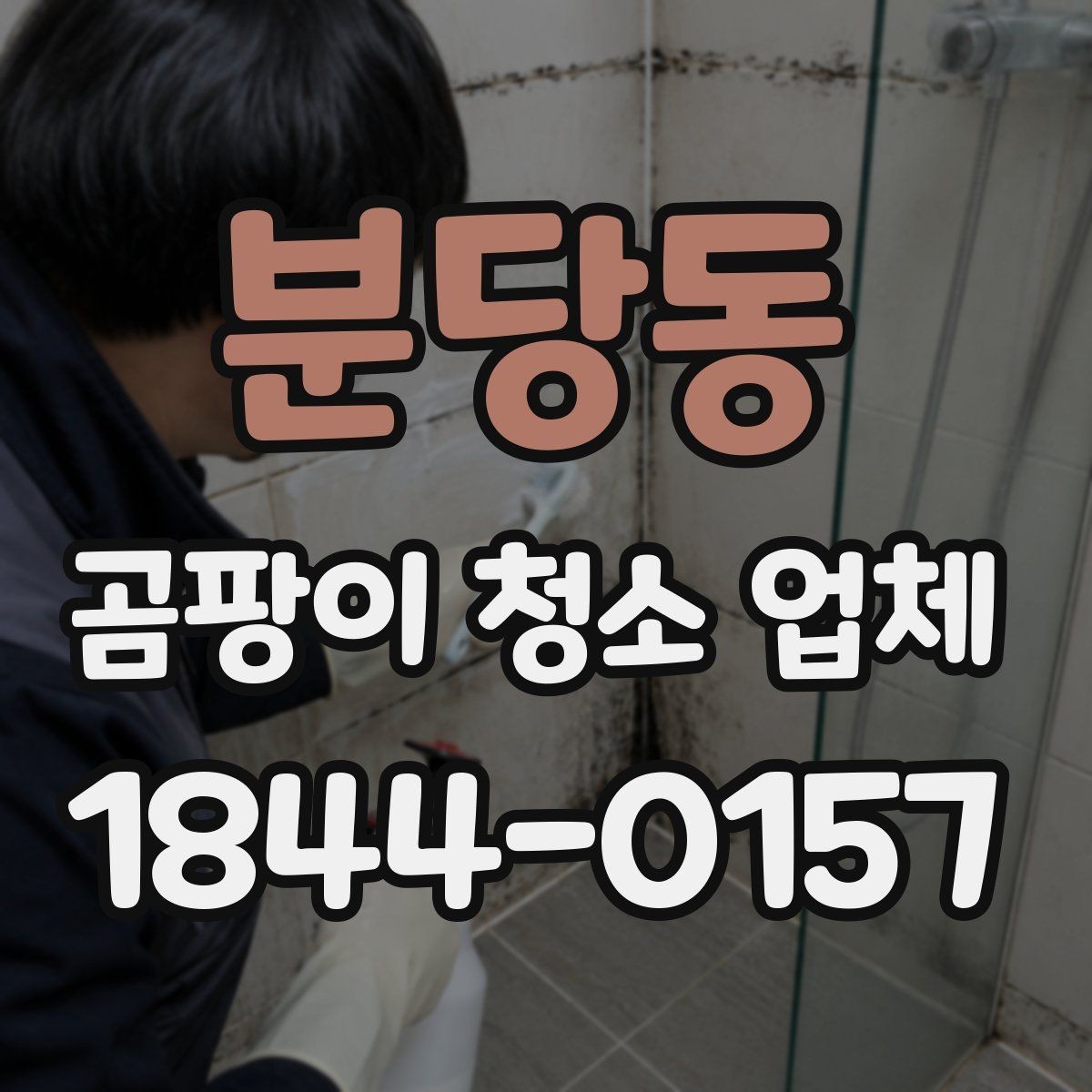 분당동 곰팡이 청소 업체 청소 장비로 가능한 범위와 한계