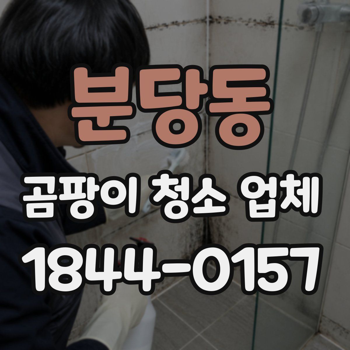 분당동 곰팡이 청소 업체