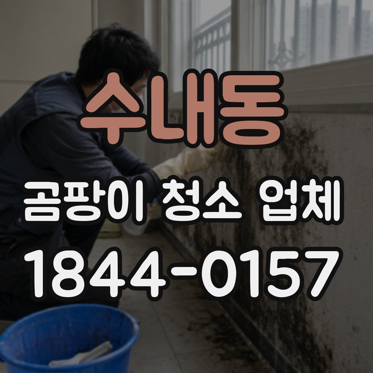 수내동 곰팡이 청소 업체