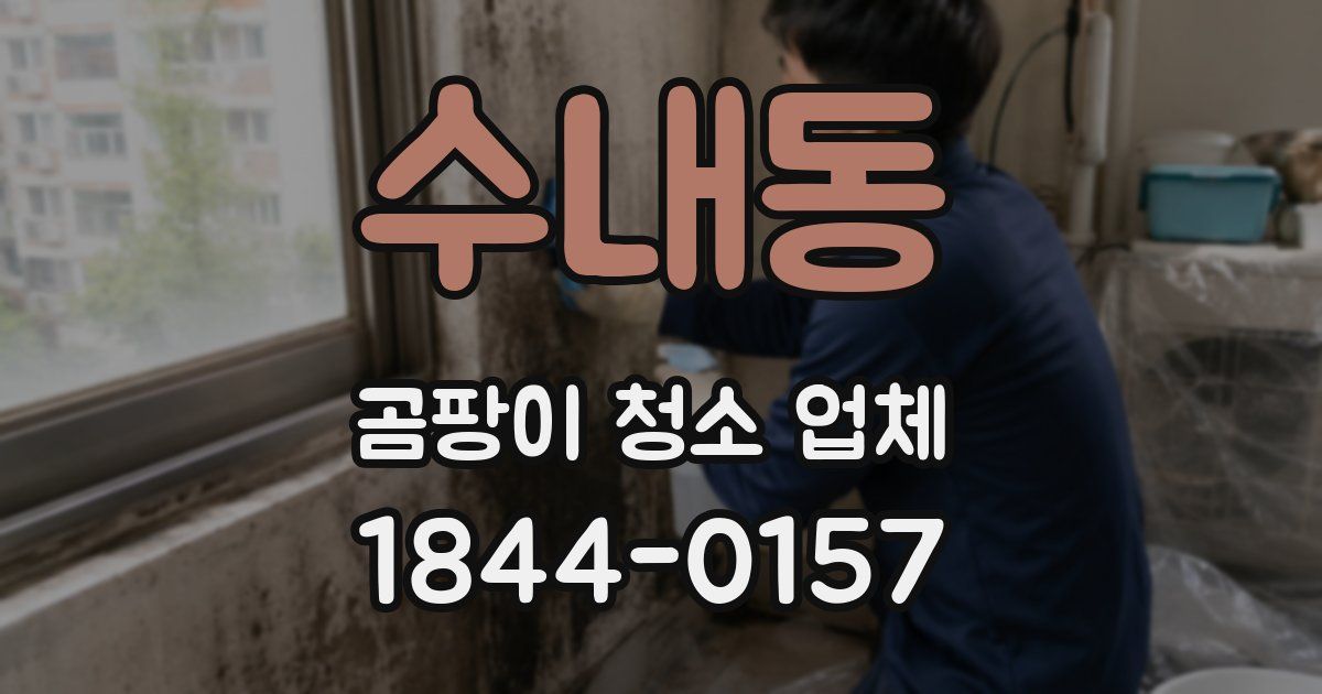수내동 곰팡이 청소 업체