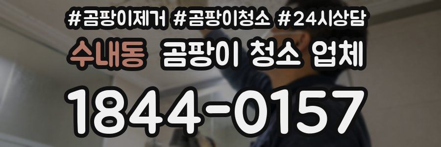 수내동 곰팡이 청소 업체
