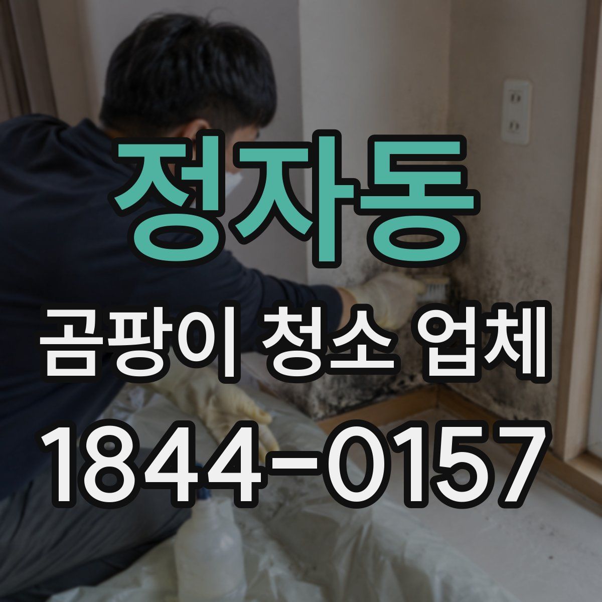 정자동 곰팡이 청소 업체