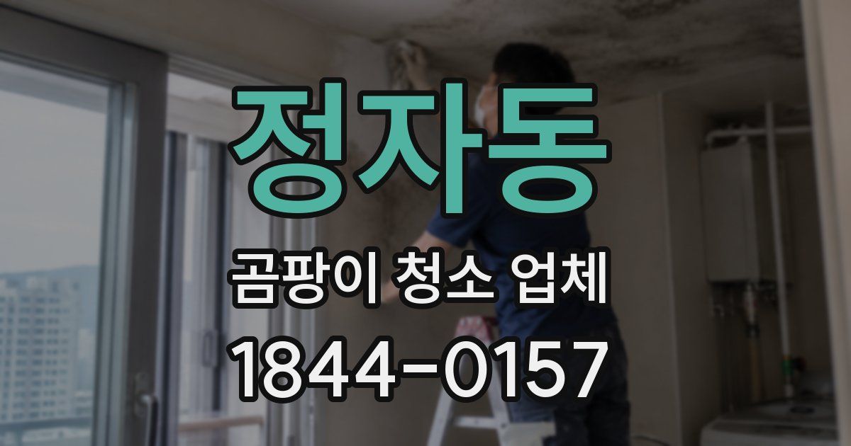 정자동 곰팡이 청소 업체