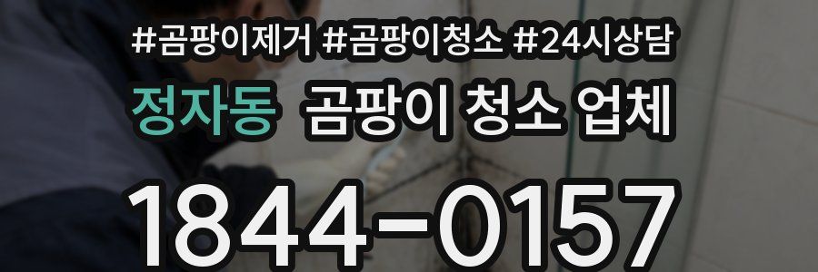 정자동 곰팡이 청소 업체