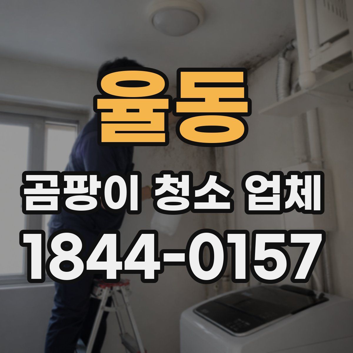 율동 곰팡이 청소 업체