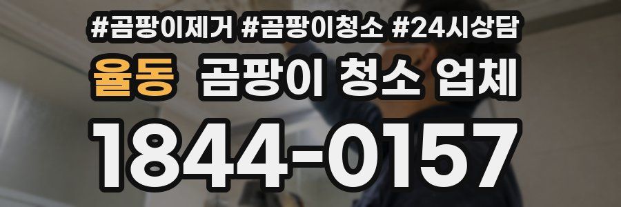 율동 곰팡이 청소 업체