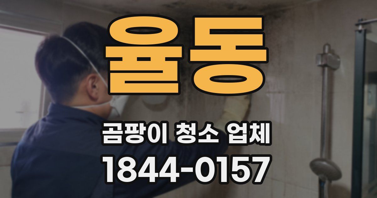 율동 곰팡이 청소 업체