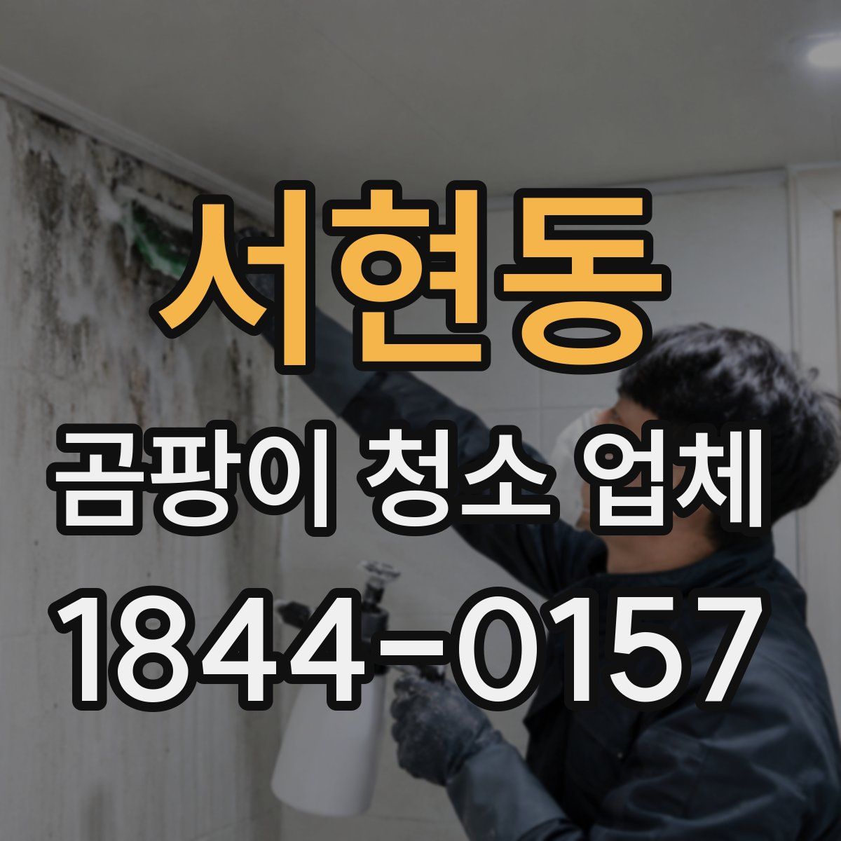 서현동 곰팡이 청소 업체