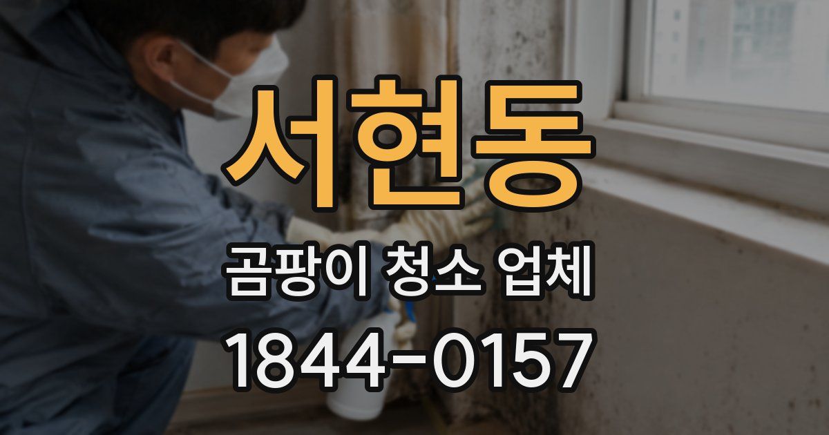 서현동 곰팡이 청소 업체