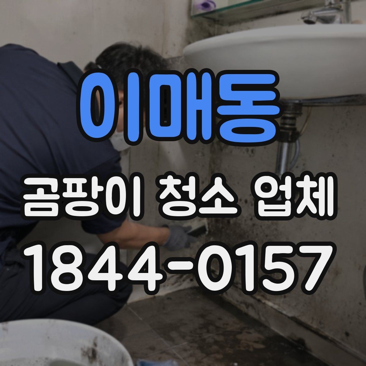 이매동 곰팡이 청소 업체 견적서에서 작업 범위를 확인하는 법